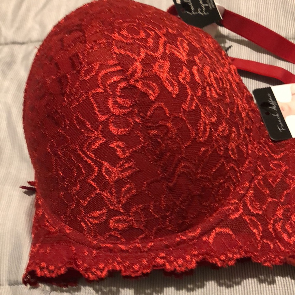 NWT French Affair Bra Size 40 D - Picture 5 of 6